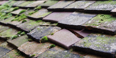 Abson roof repair costs